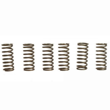 Clutch Springs SET/6 Ebc CSK141