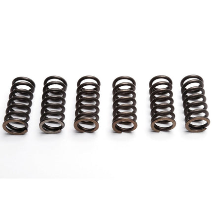 Clutch Springs SET/6 Ebc CSK031