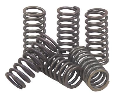 Clutch Springs SET/6 Ebc CSK144