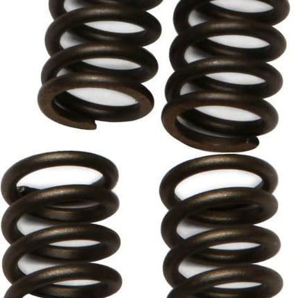 Clutch Springs SET/4 Ebc CSK147