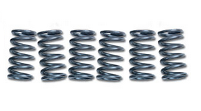 Clutch Springs SET/6 Ebc CSK148