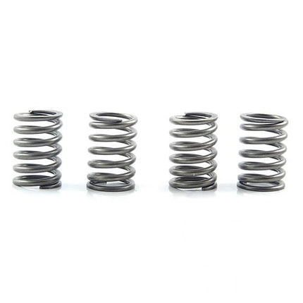 Clutch Springs SET/4 Ebc CSK151