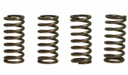 Clutch Springs SET/4 Ebc CSK153