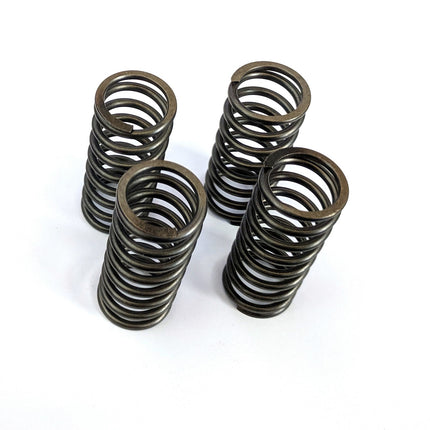 Clutch Springs SET/4 Ebc CSK154