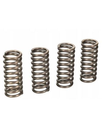 Clutch Springs SET/4 Ebc CSK155