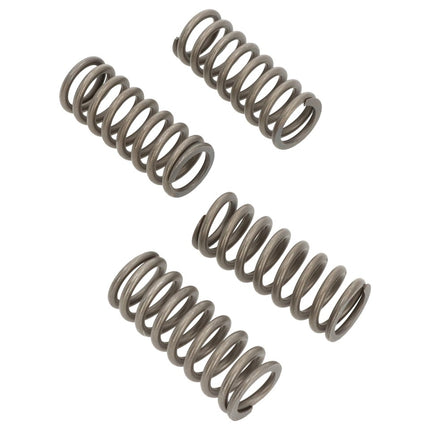 Clutch Springs SET/4 Ebc CSK157