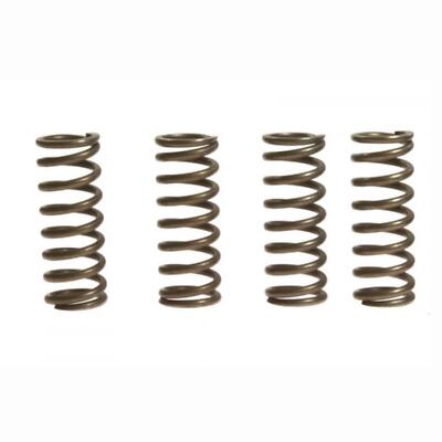 Clutch Springs SET/4 Ebc CSK157
