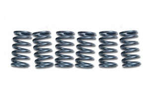 Clutch Springs SET/6 Ebc CSK163