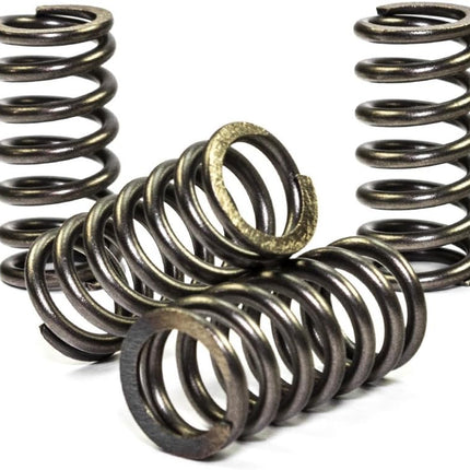 Clutch Springs SET/4 Ebc CSK105