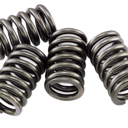 Clutch Springs SET/4 Ebc CSK172