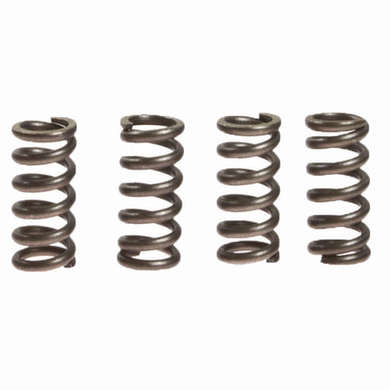 Clutch Springs SET/4 Ebc CSK174