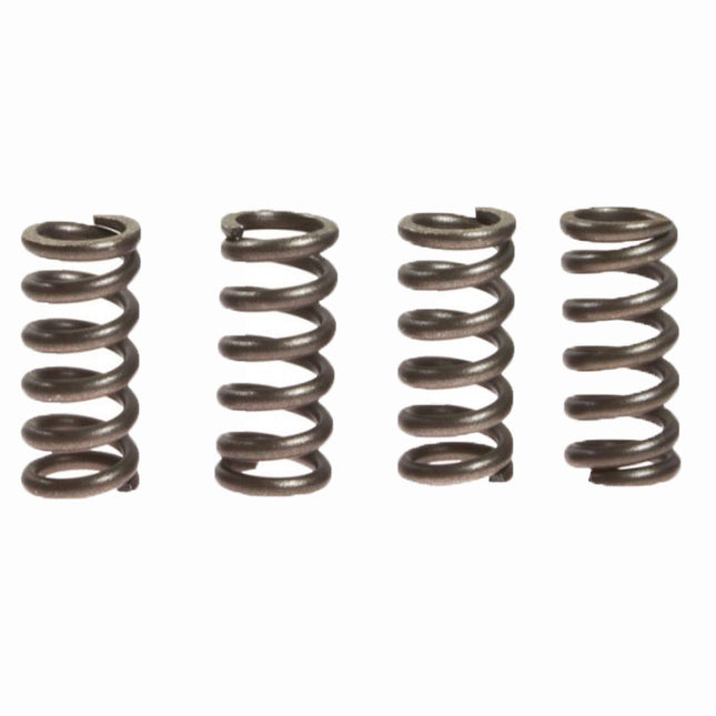 Clutch Springs SET/4 Ebc CSK174