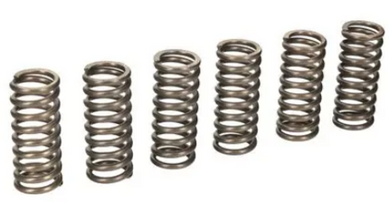 Clutch Springs SET/6 Ebc CSK178