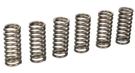 Clutch Springs SET/6 Ebc CSK178