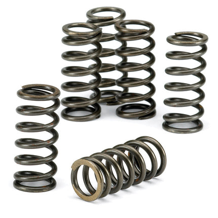 Clutch Springs SET/6 Ebc CSK117