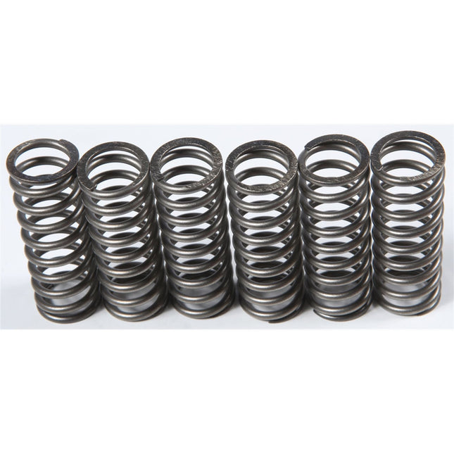 Clutch Springs SET/6 Ebc CSK201