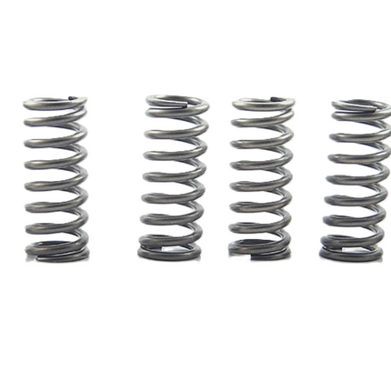 Clutch Spring SET/6 Ebc CSK210