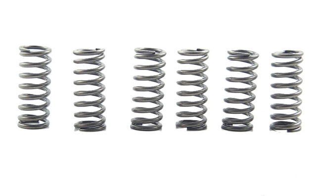 Clutch Spring SET/6 Ebc CSK210