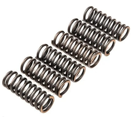 Clutch Spring SET/6 Ebc CSK213