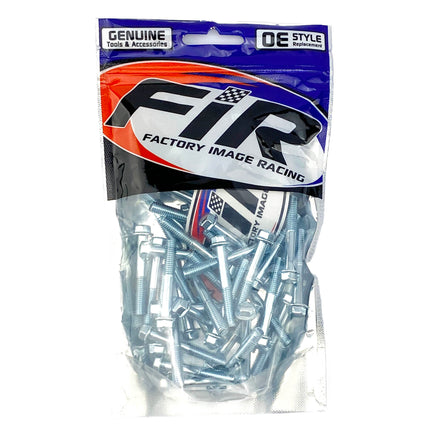M6 x 40mm FLANGE BOLT, PACK OF 50, 8mm HEX