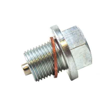 Drain Plug M14x1.25mm Steel, Big Flange 24mm Flange