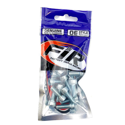 PK/20 M6x16 Allen Cap, Zinc Coated