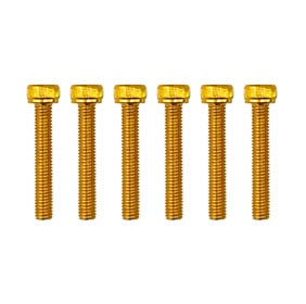 5x30 Gold PACK/6 Alloy