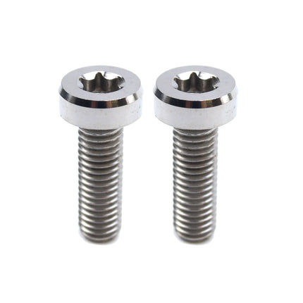 GR5 Screw M8x25 TORX45 PK2, Titanium - KTM 0035080256, / 0035080256S