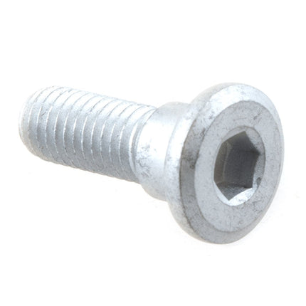 Rear Brake Disc Bolt M8 x 25mm