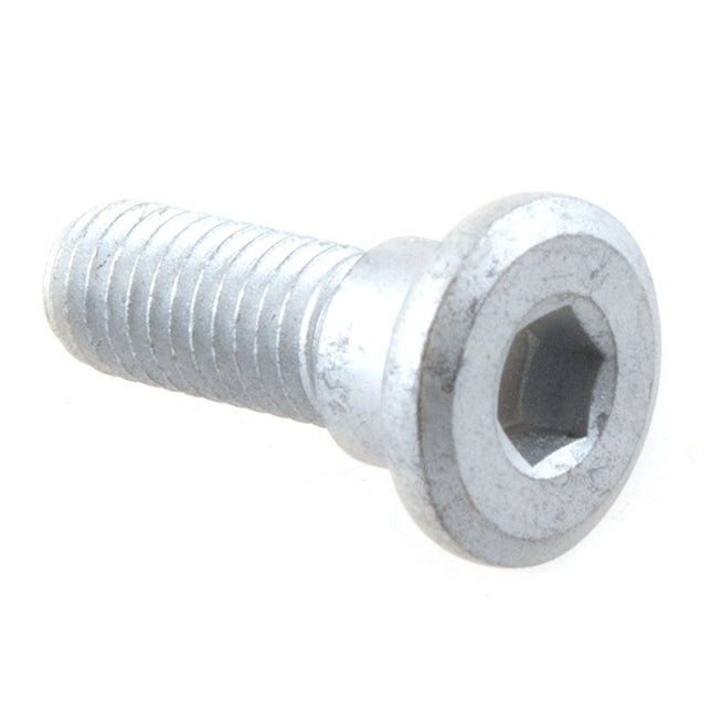Rear Brake Disc Bolt M8 x 25mm