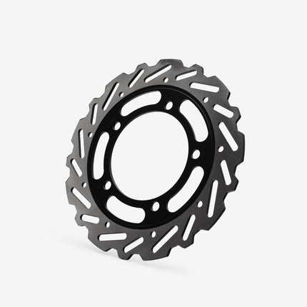 Rear Brake Disc