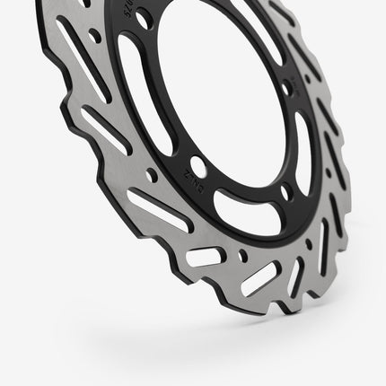 Rear Brake Disc