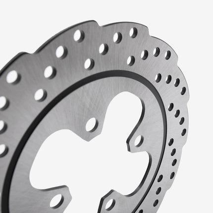 Rear Brake Disc