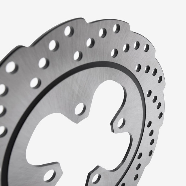 Rear Brake Disc