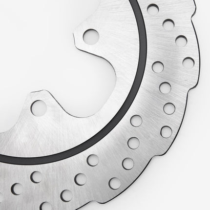 Rear Brake Disc