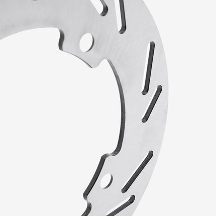 Rear Brake Disc