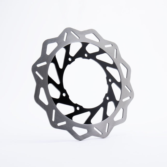Rear Brake Disc