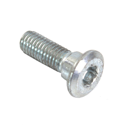 Front Brake Disc Bolt M8 x 25mm for LJ125T-8M, LJ125T-X-E5