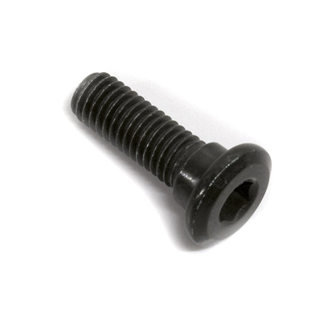 Front Brake Disc Bolt M8 x 25mm