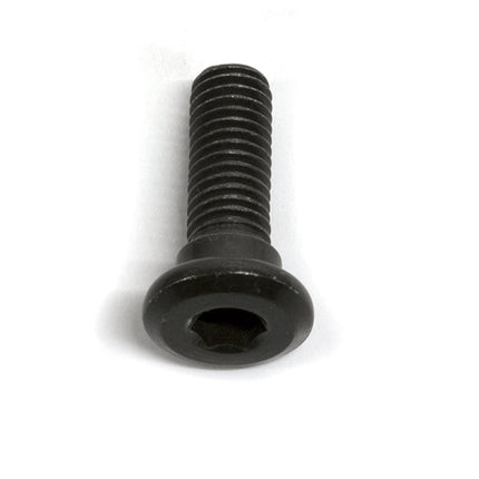 Front Brake Disc Bolt M8 x 25mm