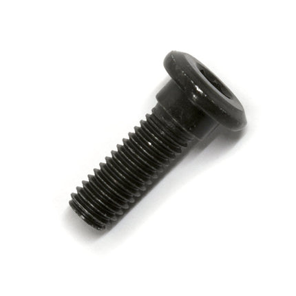 Front Brake Disc Bolt M8 x 25mm