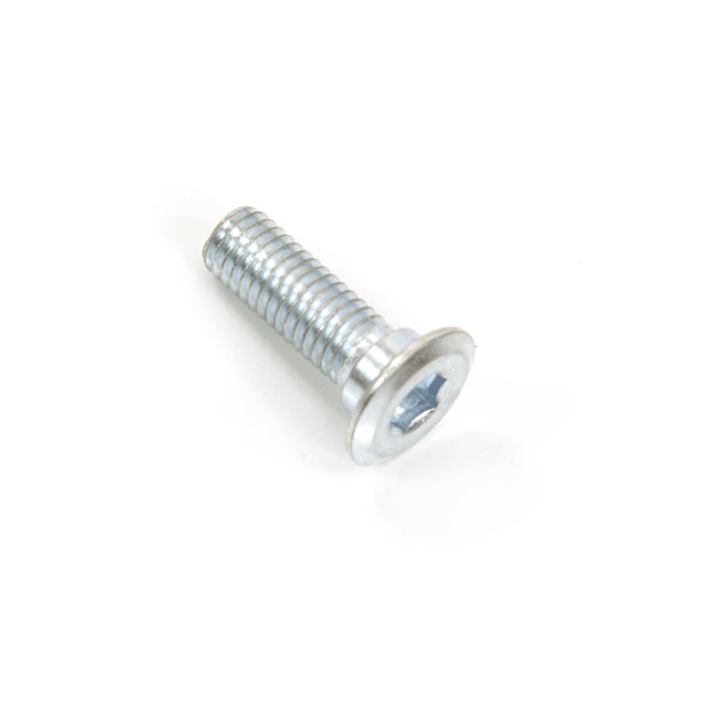 Brake Disc Bolt M8 x 25mm
