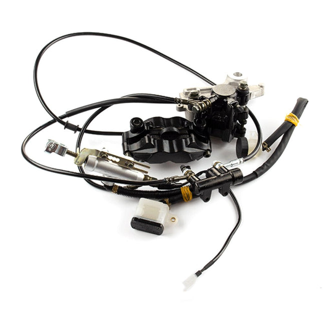 Rear Brake System Complete for SY125-10-SE, SY125-10, MITT125GP, SY125-10-E5, SY1