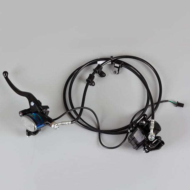 Rear Brake System Complete for ZS1200DT