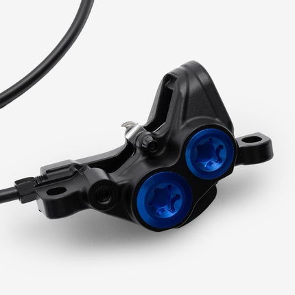 Rear Brake System Complete Blue Dots