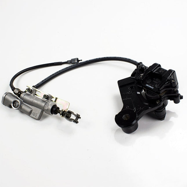 Rear Brake System Complete for ZS125-48E