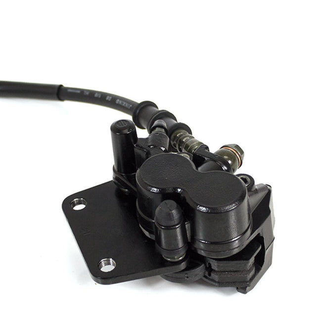 Front Brake System Complete for ZS125-79