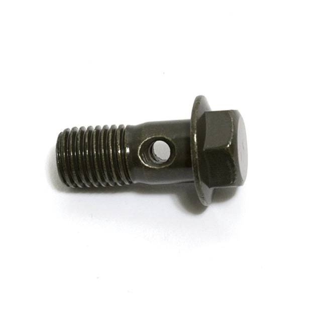 Banjo Bolt M10 x 22mm