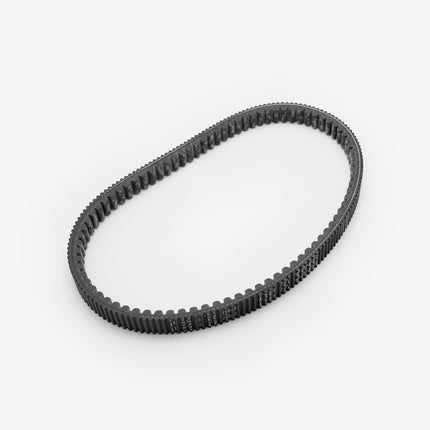 Drive Belt 842 22.6 30