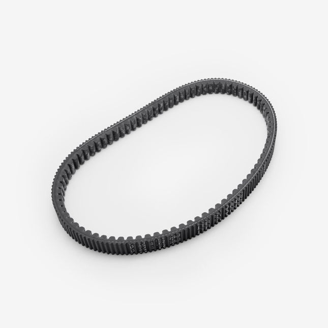 Drive Belt 842 22.6 30
